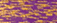 Col.9960 Isamet Purple Gold