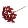 Poinsettia Small 6 Stems Velvet: Red