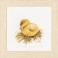 Lanarte Counted Cross Stitch Kit - Little Chick 3 (Aida)