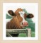 Lanarte Counted Cross Stitch Kit - Wondering Cow (Evenweave)