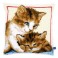 Vervaco Cross Stitch Cushion Kit - Playful Kittens