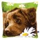 Vervaco Cross Stitch Cushion Kit - Chocolate Labrador