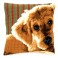 Vervaco Cross Stitch Cushion Kit - Dog