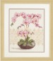 Vervaco Counted Cross Stitch Kit - Pink Orchid